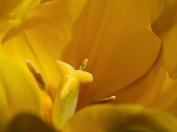 Réalité virtuelle : le nouveau terrain de jeu des marketeurs